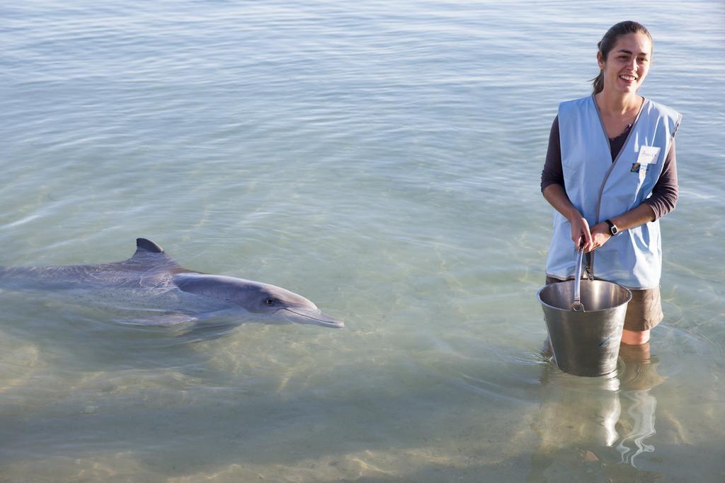 Rac Monkey Mia Dolphin Resort Bagian luar foto
